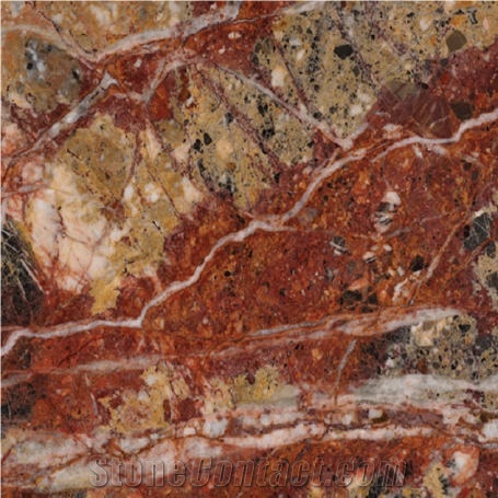 Brecha Medusa Marble Tiles & Slabs