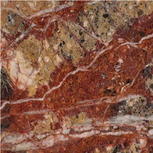 Brecha Medusa Marble Tiles & Slabs