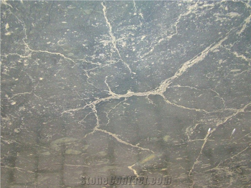 Costa Doro Green Quartzite Slabs