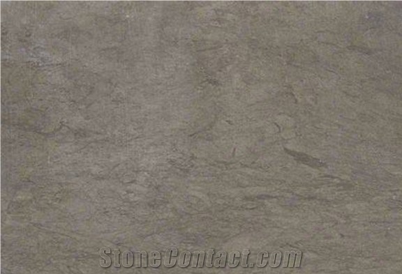 Grey Foussana