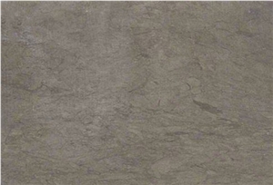 Grey Foussana