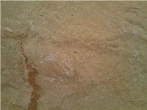 Jerusalem Honey Gold, Jerusalem Gold Limestone Slabs