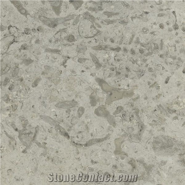 Transylvania Coral Brushed, Limestone Slabs