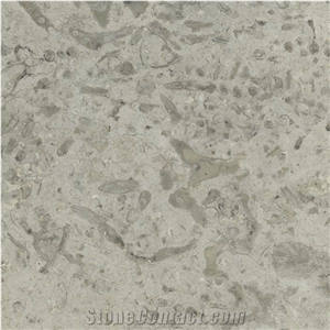Transylvania Coral Brushed, Limestone Slabs