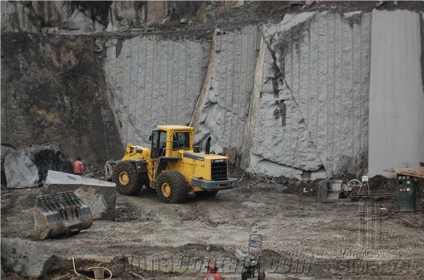 Andesite Pietroasa, Romania Grey Basalt Slabs & Tiles