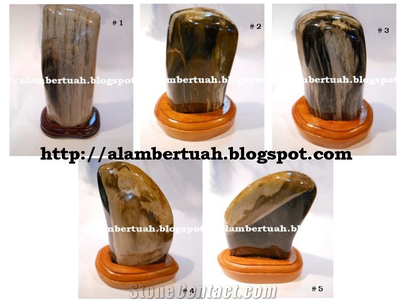 Fossil Wood Stone or Petrified Wood