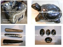 Fossil Wood Stone or Petrified Wood