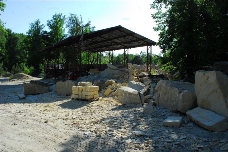 Zerkowice Sandstone Slabs, Poland Beige Sandstone Slabs & Tiles
