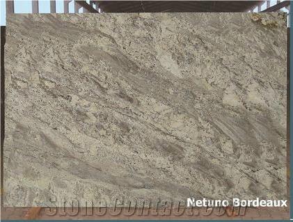 Netuno Bordeaux Granite Slabs