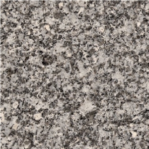 Grigio Madeira, Cinzento Aveiro Granite Slabs
