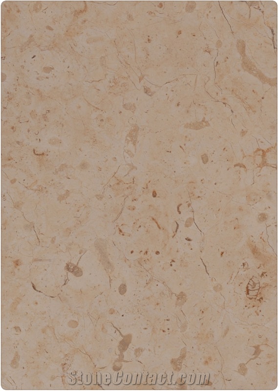 Jerusalem Stone Honed, Palestine Beige Limestone Slabs & Tiles