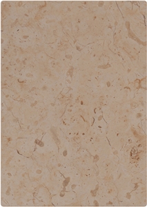 Jerusalem Stone Honed, Palestine Beige Limestone Slabs & Tiles Jerusalem Stone Honed, Palestine Beige Limestone Slabs & Tiles