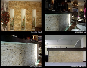 Baschioi Limestone Wall Cladding, Beige Limestone Wall Cladding