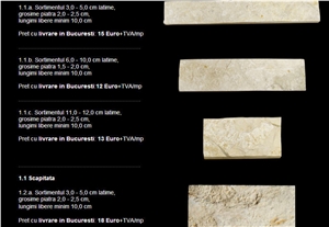 Baschioi, Romania Beige Limestone Slabs & Tiles