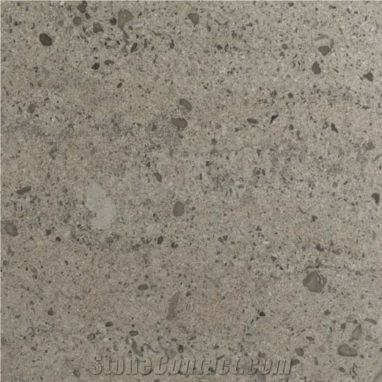 Gotland Litorina Floor Tile, Gotl ,Kalksten Limestone