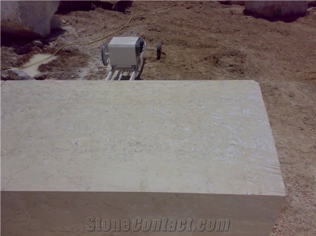 Shells Reef Beige Limestone Tile