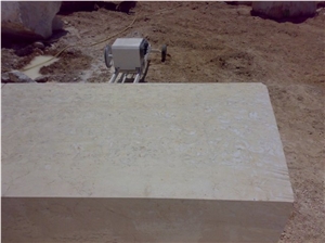 Shells Reef Beige Limestone Tile