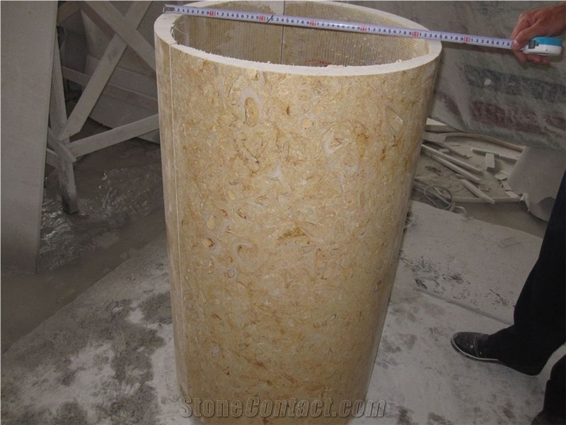Shells Reef Beige Limestone Tile