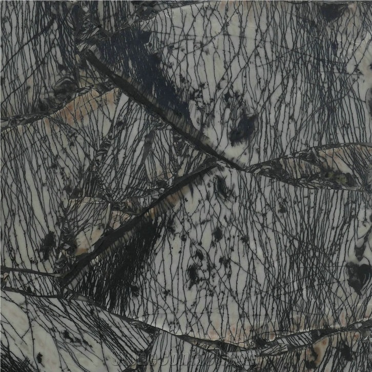 Black Vein Gemstone