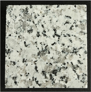 New White Granite for Building New White Granite for Building