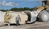 Coralina Limestone Block, Dominican Republic White Limestone