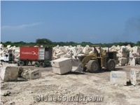 Coralina Limestone Block, Dominican Republic White Limestone