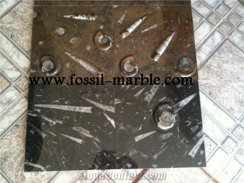Moroccan Fossile Black, Fossile Nero Black Limestone Slabs