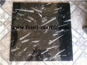 Moroccan Fossile Black, Fossile Nero Black Limestone Slabs