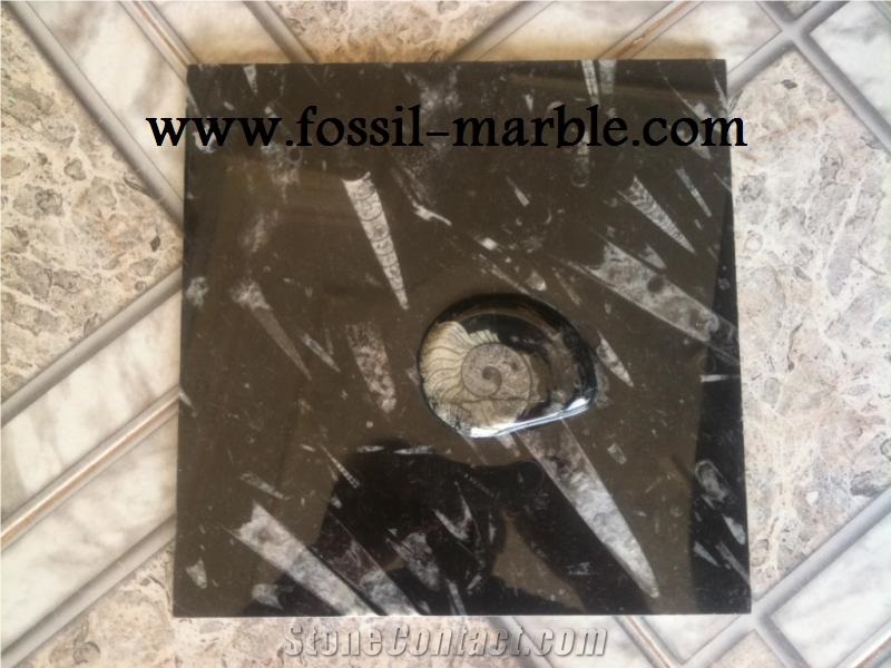 Moroccan Fossile Black, Fossile Nero Black Limestone Slabs