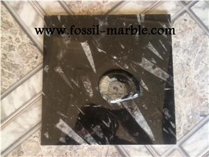 Moroccan Fossile Black, Fossile Nero Black Limestone Slabs