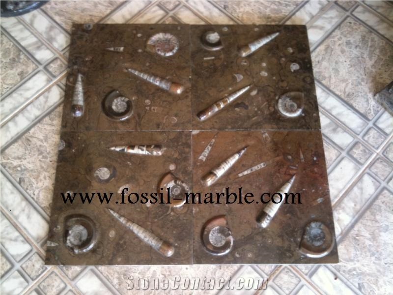 Pierre Du Four Fossil Brown, Pietra Di Erfoud Brown Limestone Slabs