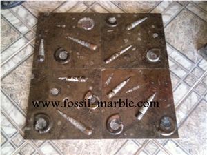 Pierre Du Four Fossil Brown, Pietra Di Erfoud Brown Limestone Slabs