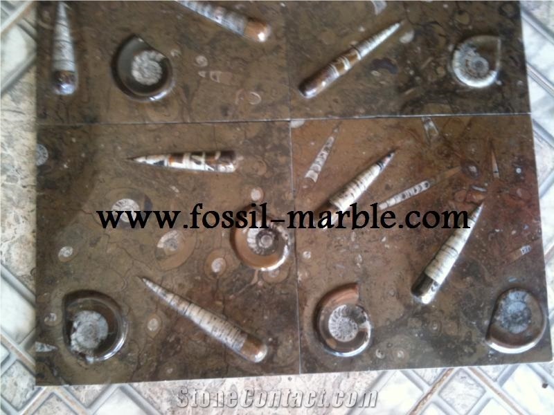 Pierre Du Four Fossil Brown, Pietra Di Erfoud Brown Limestone Slabs