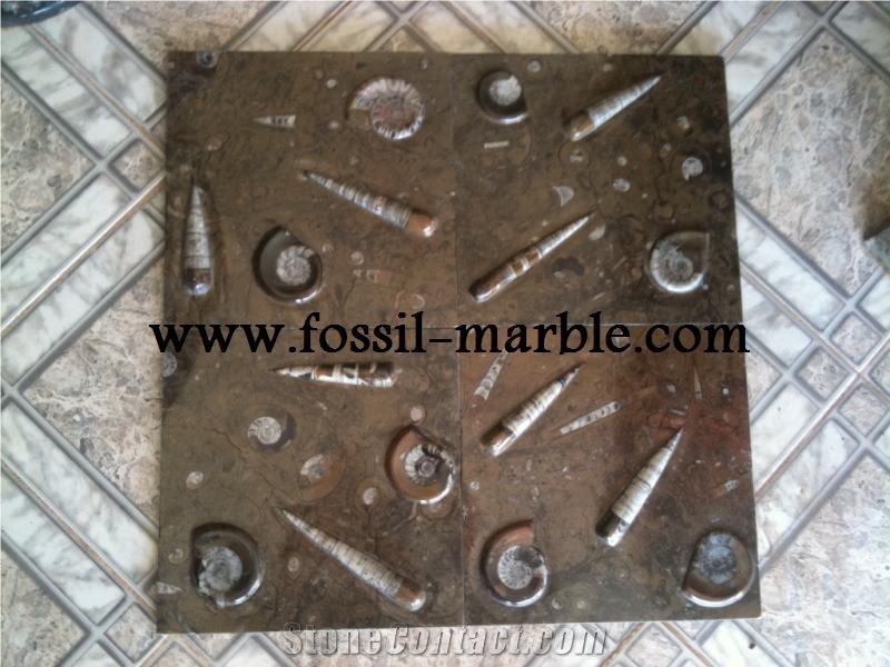 Pierre Du Four Fossil Brown, Pietra Di Erfoud Brown Limestone Slabs