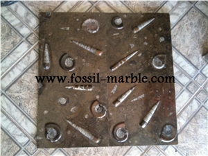 Pierre Du Four Fossil Brown, Pietra Di Erfoud Brown Limestone Slabs