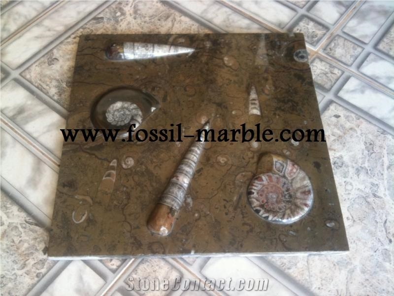 Pierre Du Four Fossil Brown, Pietra Di Erfoud Brown Limestone Slabs