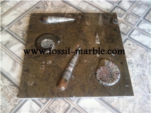 Pierre Du Four Fossil Brown, Pietra Di Erfoud Brown Limestone Slabs
