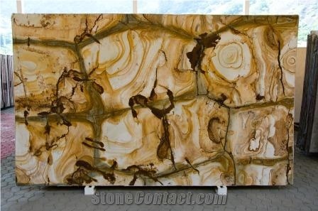 Palomino Quartzite Slabs, Stone Wood Quartzite