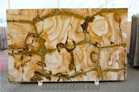 Palomino Quartzite Slabs, Stone Wood Quartzite