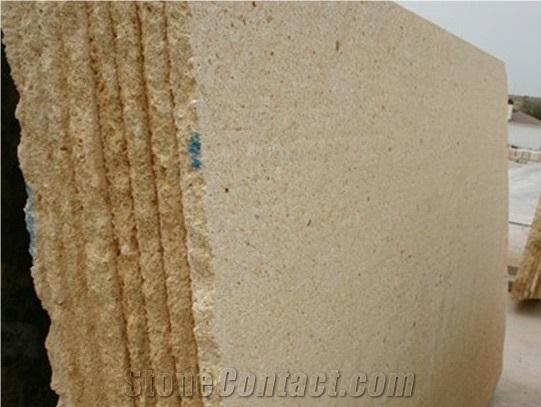 Golden Shell Slabs, Limestone