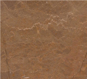 Negev Brown, Israel Brown Limestone Slabs & Tiles