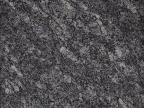 Purple Point Grey Granite, China Lilac Granite Slabs & Tiles