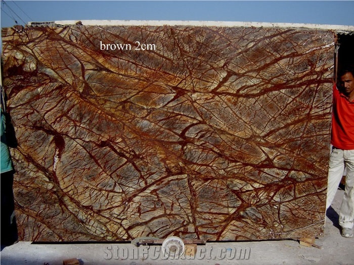 Rainforest Brown Marble Slabs