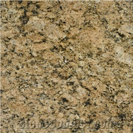 Giallo Veneziano Granite Stone, Imported Granite