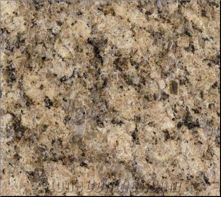 Giallo Veneziano Granite Stone, Imported Granite