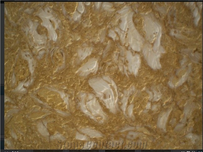 Shells Reef Caramel Blocks, Syria Yellow Limestone