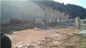 Shells Reef Green Blocks, Syria Green Limestone