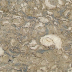 Shells Reef Green, Syria Green Limestone Slabs & Tiles Shells Reef Green, Syria Green Limestone Slabs & Tiles