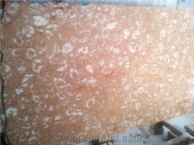 Shells Reef Pink Slabs, Syria Pink Limestone