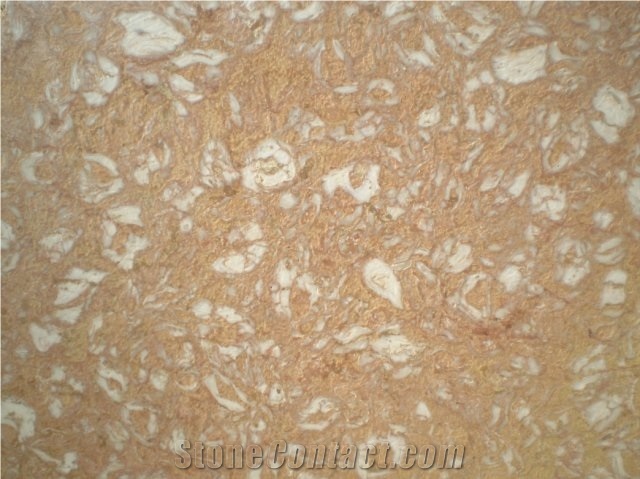 Shells Reef Pink Slabs, Syria Pink Limestone